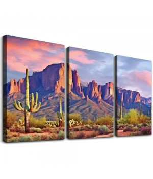  Colorfull Sunset with Superstition Mountains wall art Sonoran Desert Picture Saguaros Landscape Canvas Wall Art Gallery Wrapped Botanical Cactus in Picture Print on Canvas for Living Room