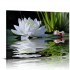 Canvas Prints Zen Wall Art Lotus Flower Prints Pictures for Bathroom Decor Spiritual Meditation Poster Artwork for Spa Decor Framed Read to Hang