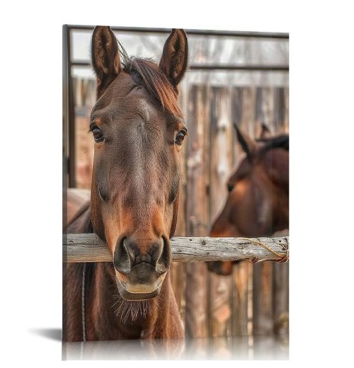 Farmhouse Rustic Wall Art for Bedroom Home Bathroom Decor for the Home Country Horse Pictures Artwork for Kitchen Wall Decor Modern Canvas Framed Wall Art 